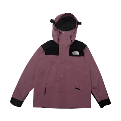 THE NORTH FACE 1990 GTX Colorblock Logo Embroidered Hoodie Jacket Purple Unisex NI2GN04E