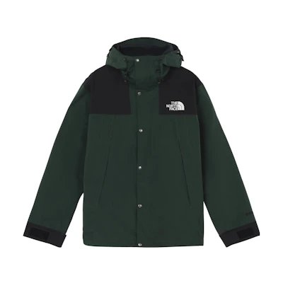 TNF 1990 GTX Mountain Logo Colorblock Hiking Jacket Green NI2GN05E