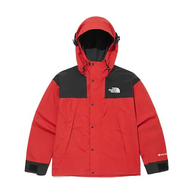 TNF 1990 Mountain Relaxed Ex Logo Print Red Hooded Jacket NI2GM50B