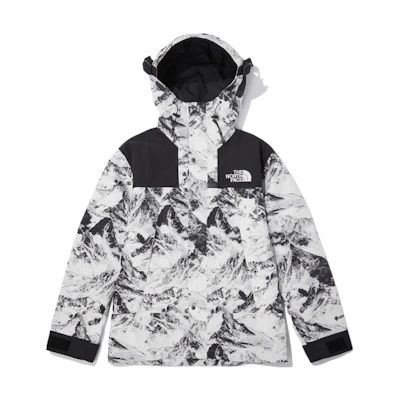 TNF 1990 Series GTX Mountain Jacket Snow White Unisex NJ2GN60B