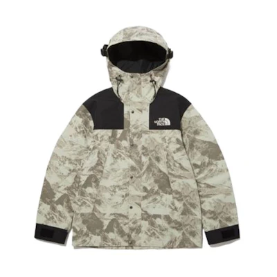 TNF 1990 Series GTX Waterproof Windbreaker Brown Unisex Jacket NJ2GP50B