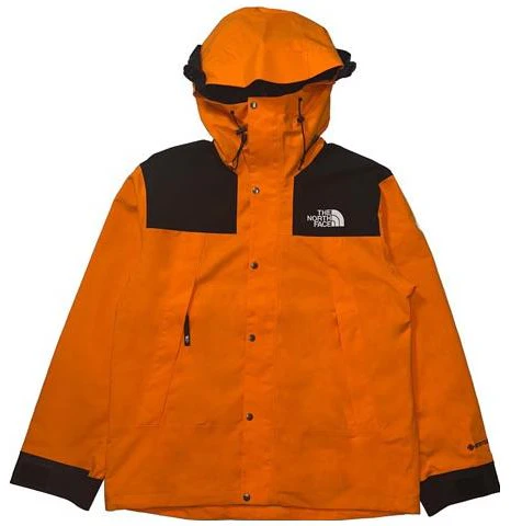 the-north-face-1990-series-logo-print-hooded-jacket-ni-2-gn-00-h