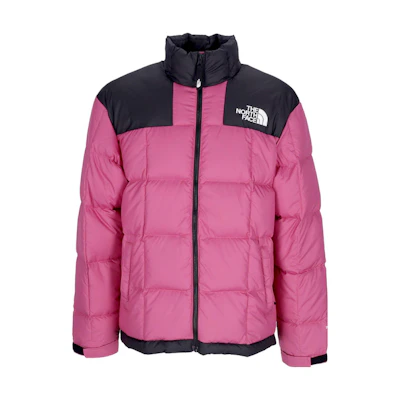 TNF 1990 Series Pink Puffer Jacket, Long Sleeve, Warm & Cozy NF0A3Y23-748