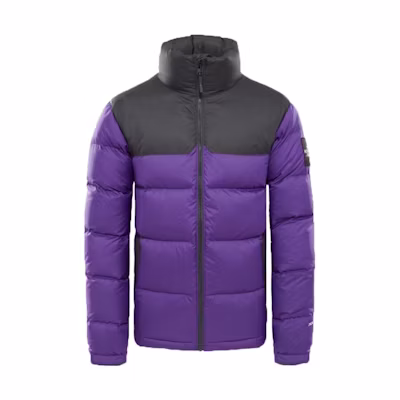 TNF 1992 Nuptse Jacket Purple/Asphalt Grey Down Jacket NF0A2ZWE6LK