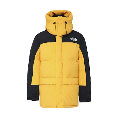 TNF 1994 FW22 Unisex Waterproof Down Jacket Hoodie NF0A4QYP-56P