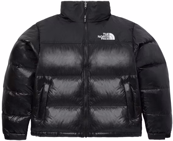 the-north-face-1996-eco-nuptse-jacket-winter-shiny-color-nj-1-dp-75-c