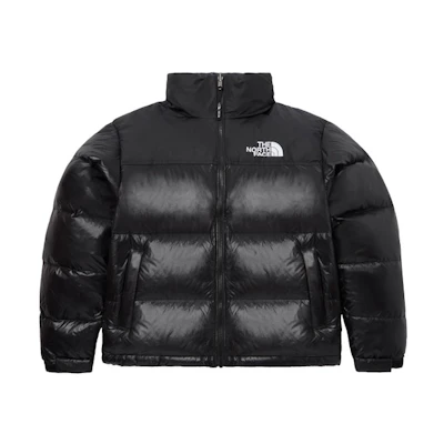 TNF 1996 Eco Nuptse Jacket Winter Shiny Color NJ1DP75C