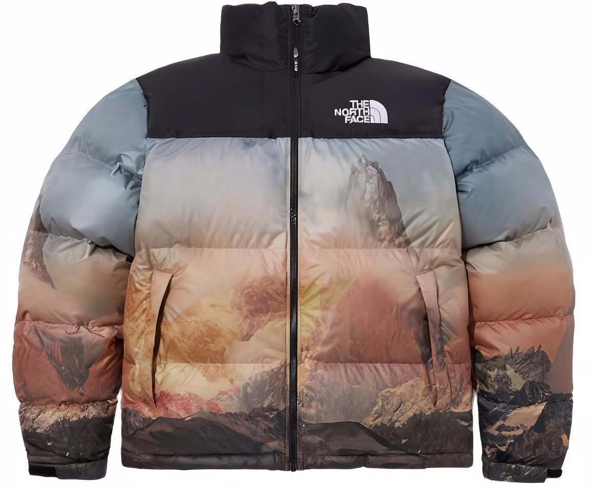 the-north-face-1996-fw-23-m-s-nuptse-retro-jacket-unisex-full-print-puffer-nj-1-dp-76-b