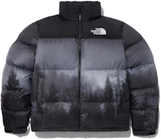 The North Face 1996 FW23 Novelty Nuptse Jacket Unisex Black NJ1DP76A The North Face 1996 FW23 Novelty Nuptse Jacket Unisex Black NJ1DP76A