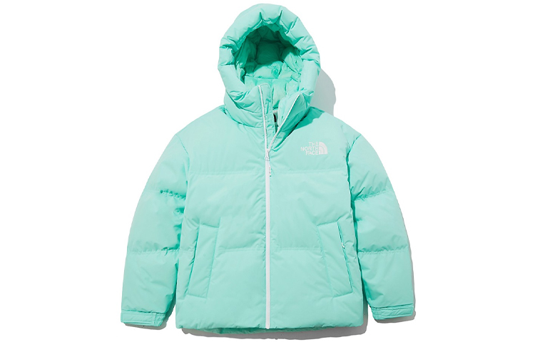 TNF 1996 Nuptse Eco Short Puffer Jacket Light Green Unisex NJ1DL80K