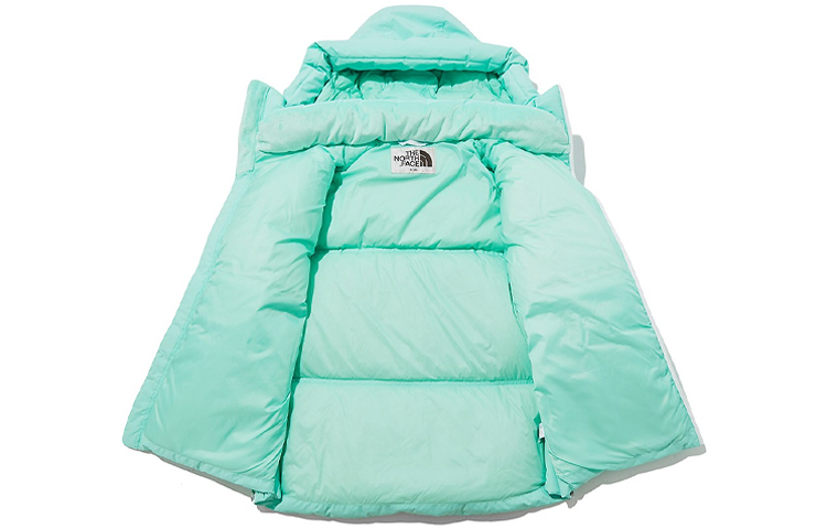 TNF 1996 Nuptse Eco Short Puffer Jacket Light Green Unisex NJ1DL80K 圖 4