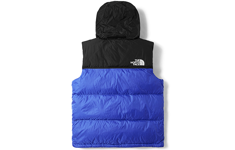 Lookbook The North Face 1996 Nuptse Icon Rompi Tahan Air Warna Biru (Unisex). NF0A4NCI-CZ6