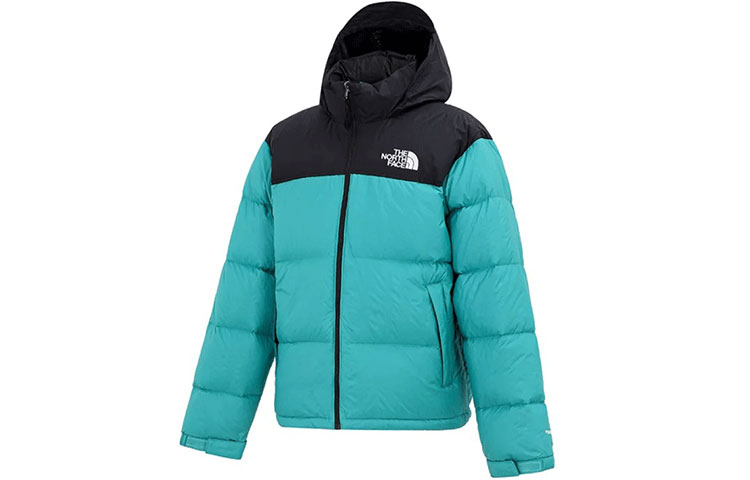 The North Face 1996 Retro Nuptse Colorblock Down Jacket Green Men’s Winter NF0A3C8D-ZCV