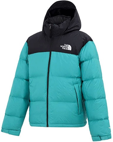 the-north-face-1996-retro-nuptse-colorblock-down-jacket-green-men-s-winter-nf-0-a3-c8-d-zcv