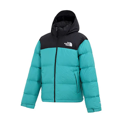 TNF 1996 Retro Nuptse Colorblock Down Jacket Green Men’s Winter NF0A3C8D-ZCV