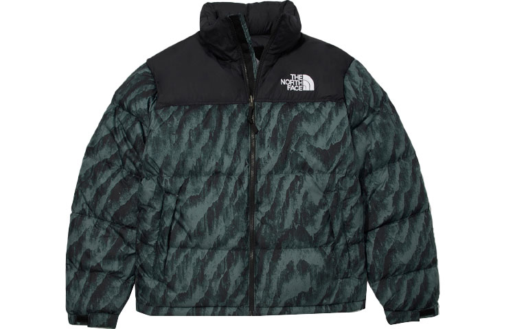TNF 1996 Retro Nuptse Down Jacket Green Unisex NJ1DM59C