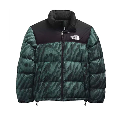 TNF 1996 Retro Nuptse Green Zebra Down Jacket Winter Green NF0A5IX4-29L