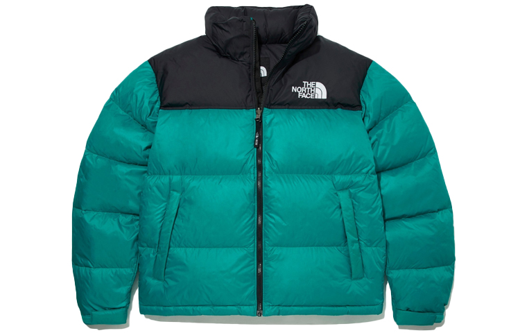 The North Face 1996 Retro Nuptse Jacket - Green Puffer for Men, Winter Edition NJ1DM62E