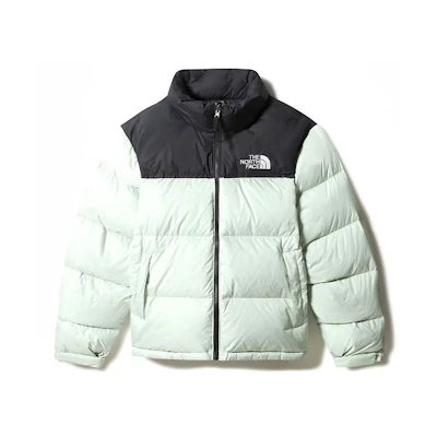 TNF 1996 Retro Nuptse Logo Patchwork Puffer Jacket Men Mint Green NF0A3C8D-V39