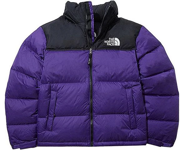 the-north-face-1996-retro-nuptse-puffer-jacket-unisex-purple-blue-nj-1-dl-50-e