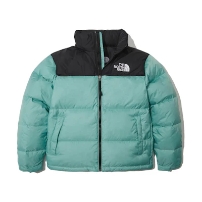 TNF 1996 Series Logo Embroidered Puffer Jacket Mint Winter NJ1DN90A