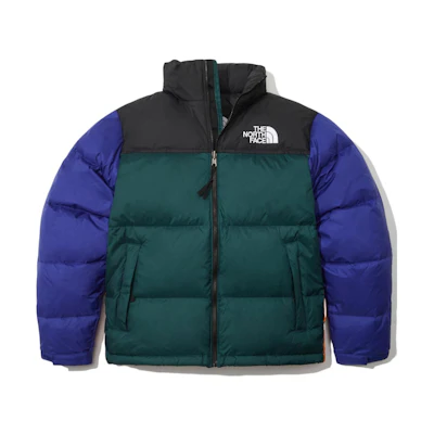 TNF 1996 Series M's Eco Puffer Goose Down Jacket for Men Multicolor NJ1DN90D