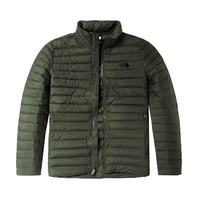 TNF 700 Fill Power Winter Puffer Jacket - Green NF0A5AXT-21L