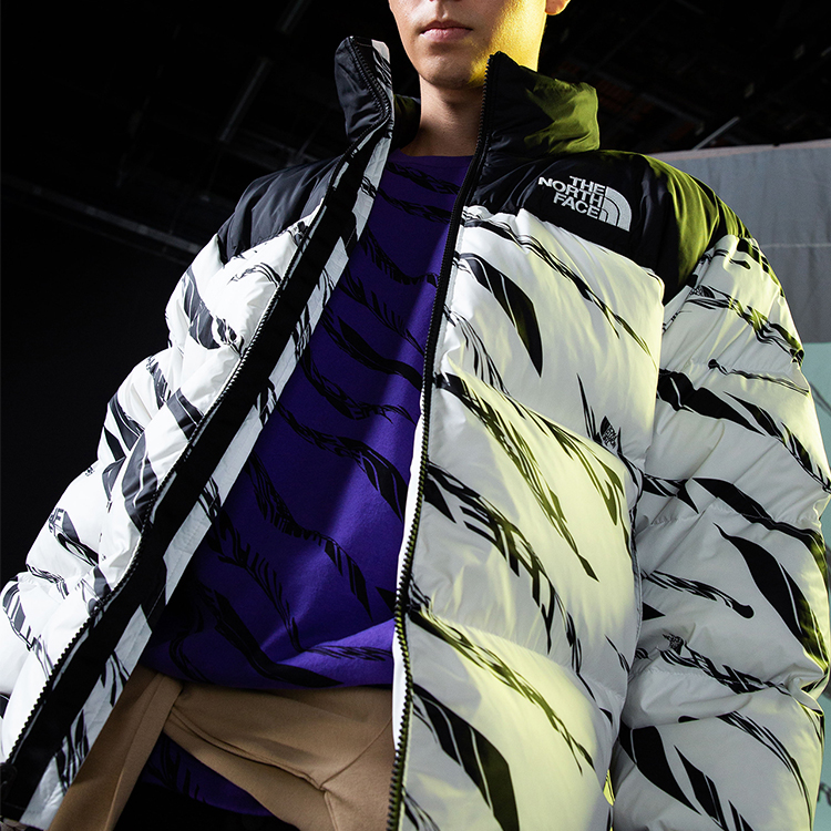 Details for THE NORTH FACE 700 填充斑馬紋可收納羽絨外套 - 白色 NF0A5AXQ-LG4