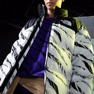 THE NORTH FACE 700 填充斑馬紋可收納羽絨外套 - 白色 NF0A5AXQ-LG4 Details for THE NORTH FACE 700 填充斑馬紋可收納羽絨外套 - 白色 NF0A5AXQ-LG4