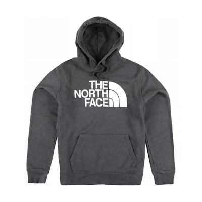 TNF 80/20 Half Dome Logo Hoodie in Dark Gray NF0A4QQO-DYZ