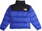 Lookbook THE NORTH FACE 1996 復刻版 700羽絨外套 藍色 T93C8D-CZ6