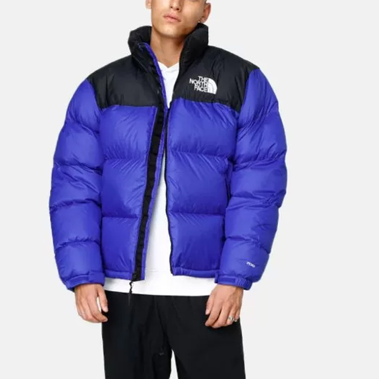 Details for THE NORTH FACE 1996 復刻版 700羽絨外套 藍色 T93C8D-CZ6