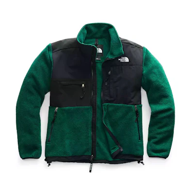 TNF '95 Retro Denali Fleece Jacket Green NF0A3XCDN3P