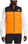 Buy THE NORTH FACE Rompi Puffer Logo Colorblock Orange NF0A47DT-84P