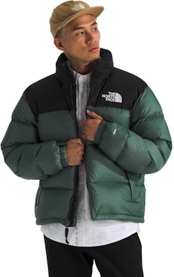 北面绿色标志拉链长袖外套夹克 NF0A3C8D-LFW Details for 北面绿色标志拉链长袖外套夹克 NF0A3C8D-LFW