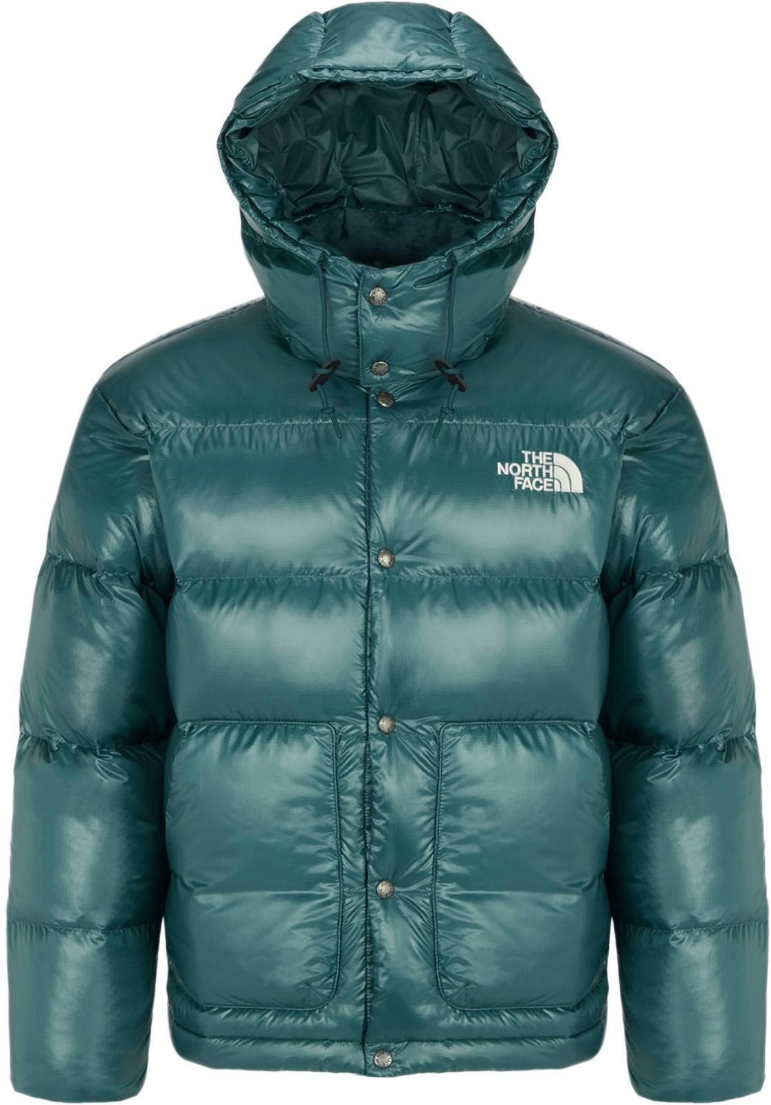 the-north-face-solid-color-logo-embroidered-hooded-down-jacket-green-nj-1-dq-67-c