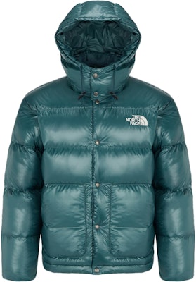The North Face Chaqueta Acolchada Verde con Capucha y Logo Bordado Color Sólido NJ1DQ67C Buy The North Face Chaqueta Acolchada Verde con Capucha y Logo Bordado Color Sólido NJ1DQ67C