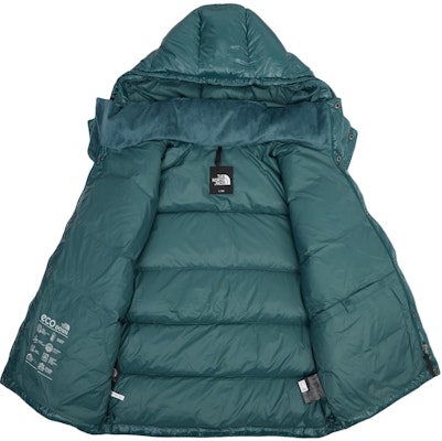 The North Face Chaqueta Acolchada Verde con Capucha y Logo Bordado Color Sólido NJ1DQ67C Shop The North Face Chaqueta Acolchada Verde con Capucha y Logo Bordado Color Sólido NJ1DQ67C