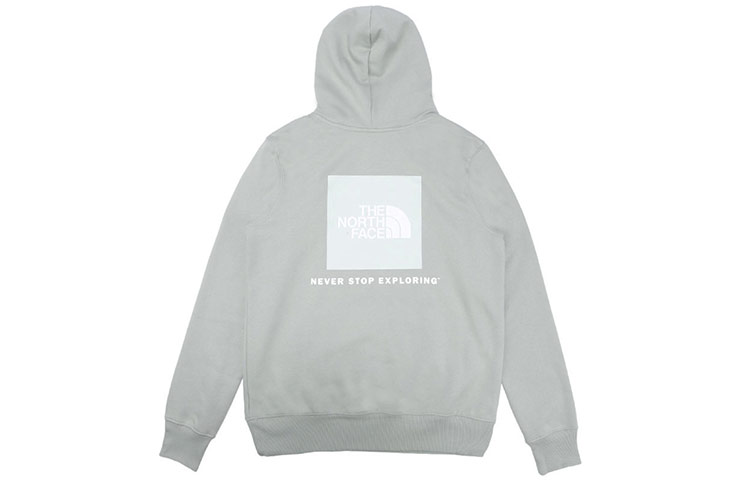 TNF Back Logo Print Hoodie Light Grey NF0A4761-HDF