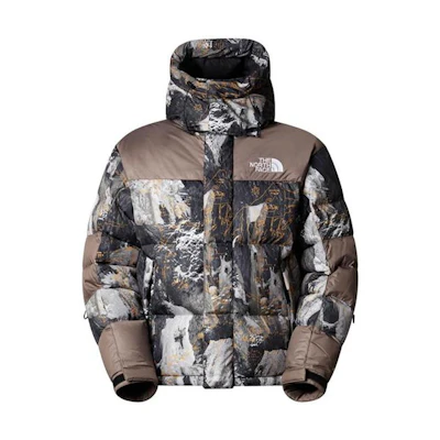 TNF Baltoro Khumbu Glacier Logo Embroidered Down Jacket Brown Men NF0A832GO3X