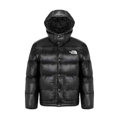 TNF Black Hooded Logo Long Sleeve Down Jacket NJ1DQ67A