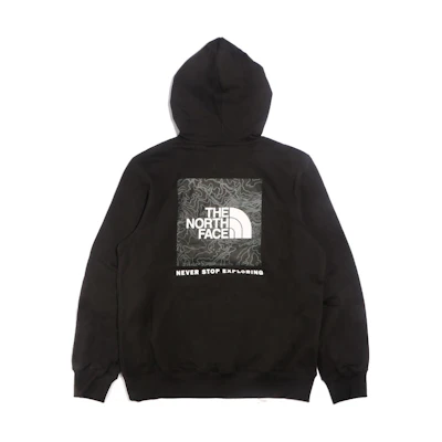 TNF Black Logo Graphic Pullover Hoodie NF0A7ZWH-9J1