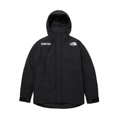 TNF Black Mountain Gore-TEX Waterproof Down Jacket NJ2PP50A