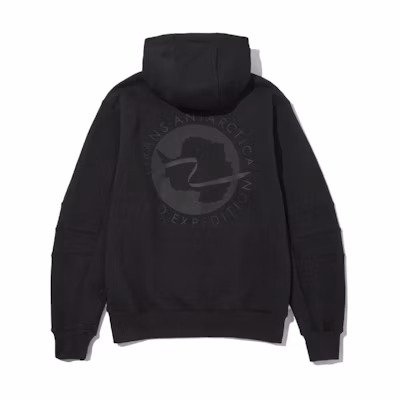 TNF Black Pullover Hoodie with Embroidered Logo for Men NM5PM57B