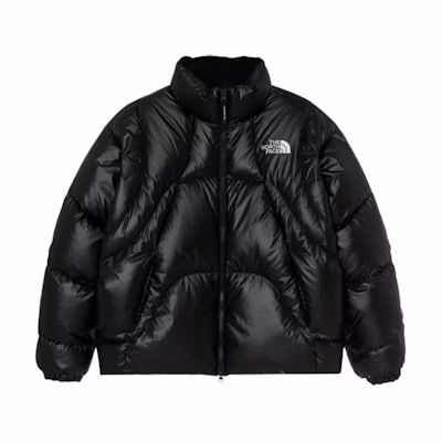 TNF Black Wave Rds Down Jacket Unisex Puffer Coat NJ1DQ55J