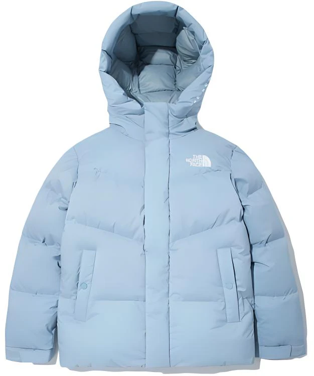 the-north-face-blue-logo-hooded-long-sleeve-down-jacket-nj-1-dm-52-l
