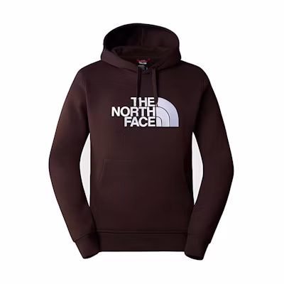 TNF Brown Hoodie with Logo Print and Solid Color Design NF00AHJYI-0I1
