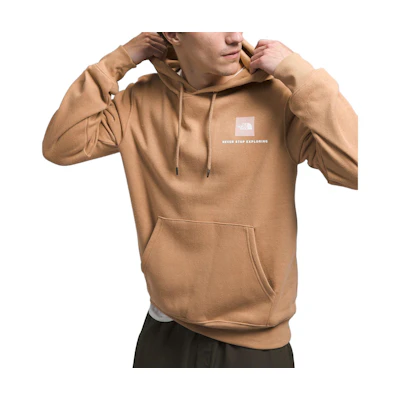 TNF Brown Relaxed Fit Hoodie with Letter Print NF0A7UNS-LIT
