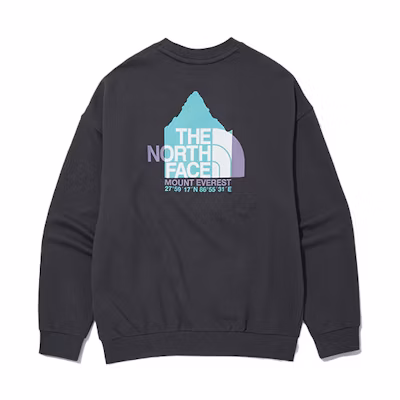 TNF Campground Graphic Crewneck Sweatshirt Unisex - Dark Gray NM5MN01C