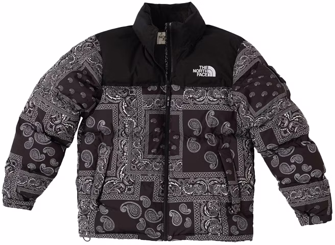 the-north-face-casestudy-paisley-puffer-winter-jacket-black-collection-nj-1-dm-64-j